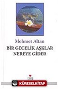 Bir Gecelik Aşklar Nereye Gider