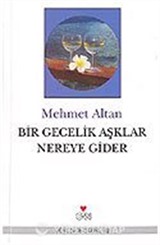 Bir Gecelik Aşklar Nereye Gider