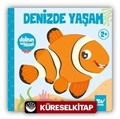 Dokun ve Hisset / Denizde Yaşam