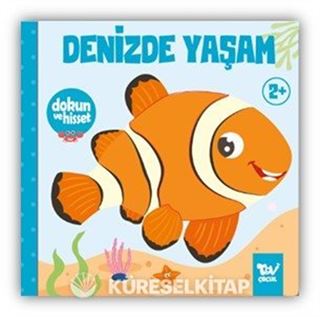 Dokun ve Hisset / Denizde Yaşam