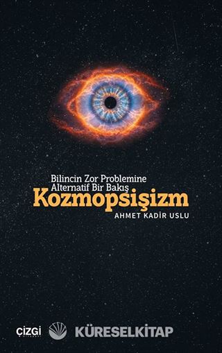 Bilincin Zor Problemine Alternatif Bir Bakış
