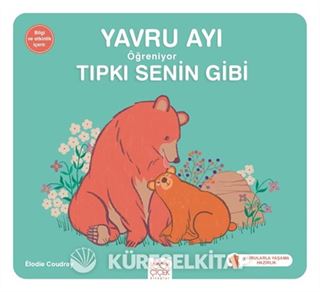 Yavru Ayı Öğreniyor Tıpkı Senin Gibi