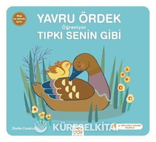 Yavru Ördek Öğreniyor Tıpkı Senin Gibi