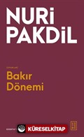 Bakır Dönemi