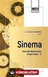Sinema Alanında Uluslararası Araştırmalar II