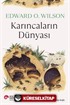 Karıncaların Dünyası