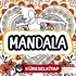Mandala 2 - Akademisyen Boyama