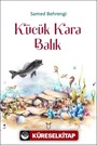 Küçük Kara Balık