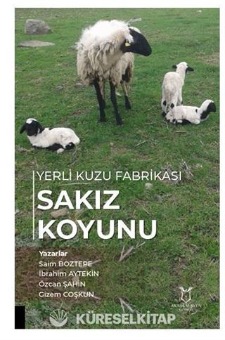 Yerli Kuzu Fabrikası Sakız Koyunu