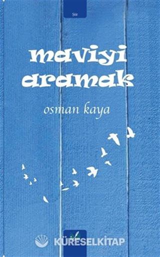 Maviyi Aramak