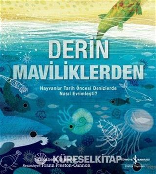 Derin Maviliklerden