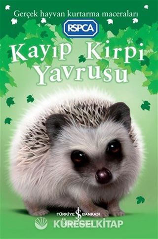 Kayıp Kirpi Yavrusu