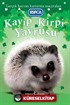 Kayıp Kirpi Yavrusu