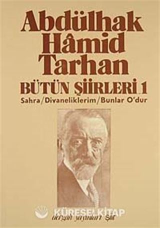 Bütün Şiirleri 1 / Sahra- Divaneliklerim- Bunlar O'dur