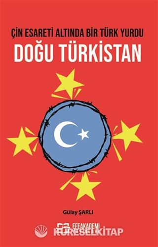 Çin Esareti Altında Bir Türk Yurdu: Doğu Türkistan