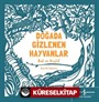 Doğada Gizlenen Hayvanlar Bul ve Keşfet