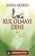Kul Olmayı Dene