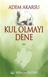 Kul Olmayı Dene
