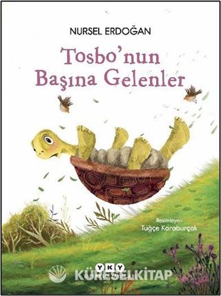 Tosbo'nun Başına Gelenler
