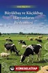 Büyükbaş ve Küçükbaş Hayvanların Beslenmesi