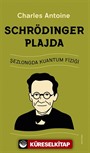 Schrödinger Plajda / Şezlongda Kuantum Fiziği