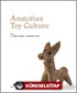 Anatolian Toy Culture (Ciltli)