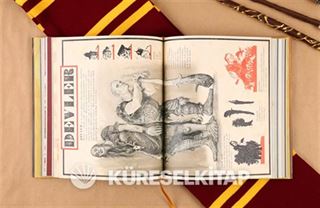 Harry Potter ve Zümrüdüanka Yoldaşlığı- 5 (Resimli Özel Baskı)