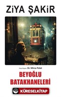 Beyoğlu Batakhaneleri