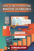 Güncel Gelişmeler Perspektifinde Muhasebe Çalışmaları II