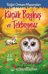 Küçük Baykuş ve Tekboynuz / Söğüt Ormanı Maceraları