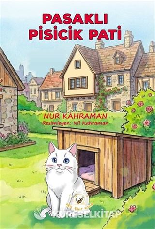 Pasaklı Pisicik Pati