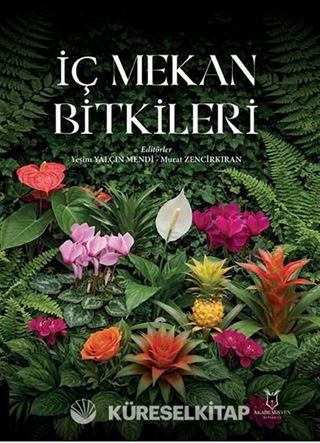 İç Mekan Bitkileri