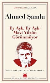 Ey Aşk, Ey Aşk! Mavi Yüzün Görünmüyor