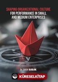 Shaping Organizational Culture for Performance in Small and Medium Enterprises