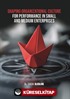 Shaping Organizational Culture for Performance in Small and Medium Enterprises