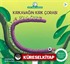 Kırkayağın Kırk Çorabı