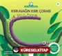 Kırkayağın Kırk Çorabı