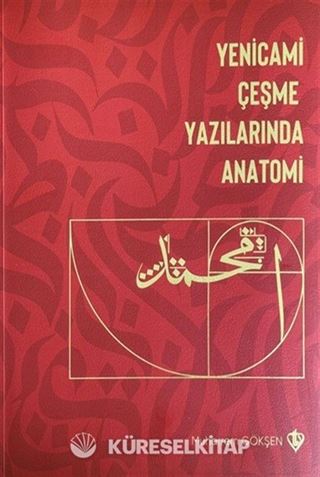 Yenicami Çeşme Yazılarında Anatomi