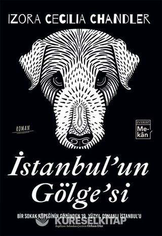 İstanbul'un Gölge'si