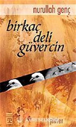 Birkaç Deli Güvercin