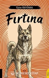 Fırtına