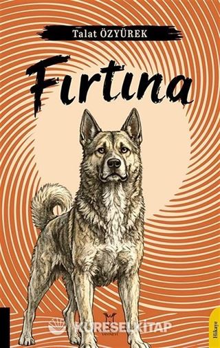 Fırtına