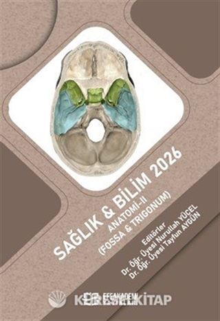 Sağlık - Bilim 2026: Anatomi-II (Fossa
