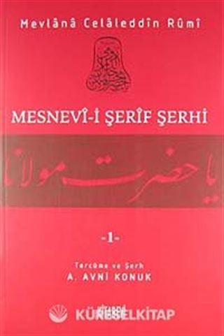 Mesnevi-i Şerif Şerhi 1