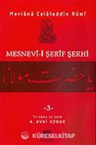 Mesnevi-i Şerif Şerhi 3