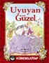 Uyuyan Güzel / Çıkartmalı Hikaye Kitabı