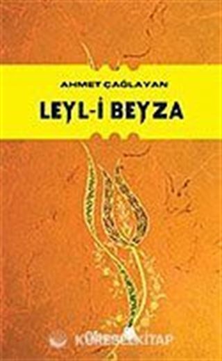 Leyl-i Beyza