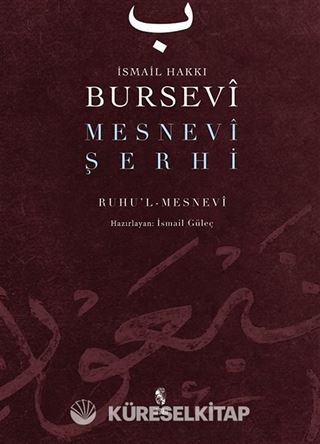 Mesnevi Şerhi