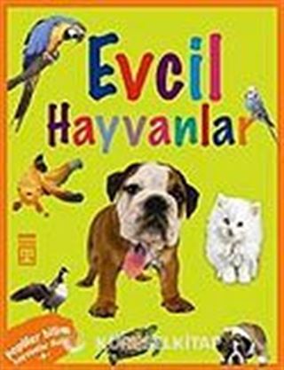 Evcil Hayvanlar / Hayvanlar Dizisi