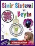Sinir Sistemi ve Beyin / Vücudumuz Dizisi